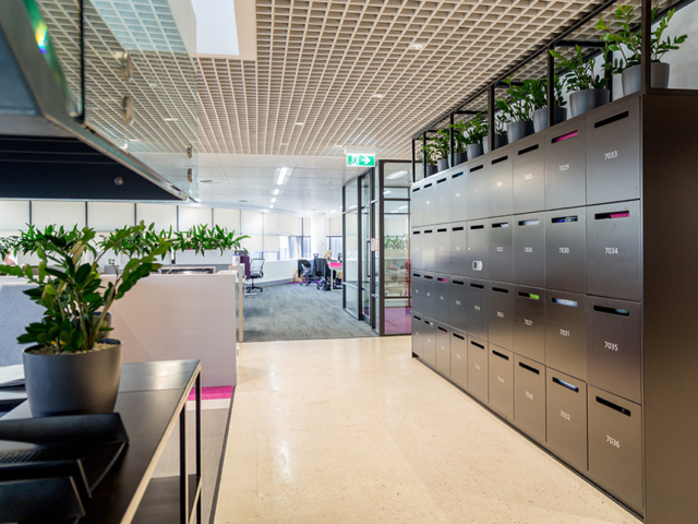 Black Workplace Smart Lockers with Biophilia for Personal Storage