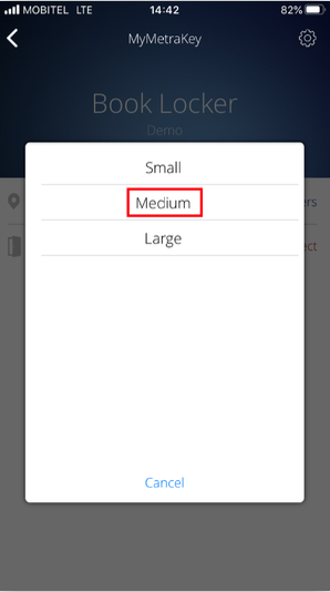 Choose a locker size (optional)